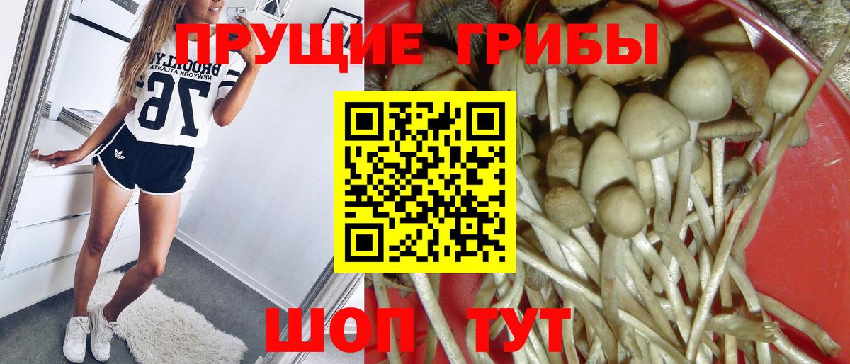 Псилоцибиновые грибы мухоморы  Галлюциногенные грибы мухоморы  Вход с VPN  Сертолово 